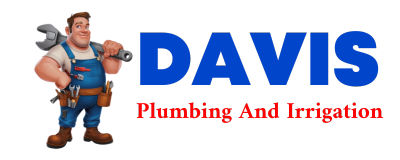 Trusted plumber in OTTOVILLE